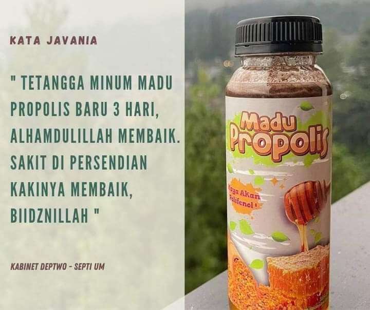 Madu propolis